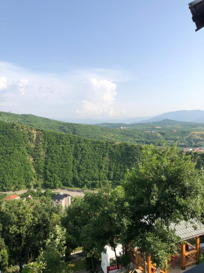 Hotel Bujtina Vrenezi à Peshkopi Extérieur photo